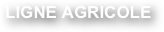 LIGNE AGRICOLE